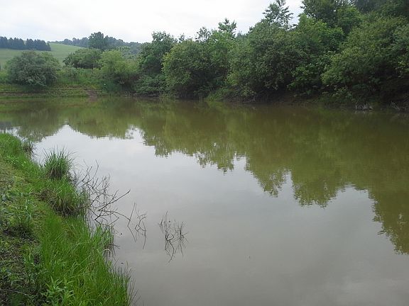 spring fed pond