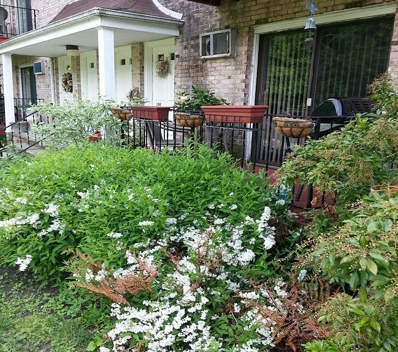 1st image of 304 Chester Heights Dr