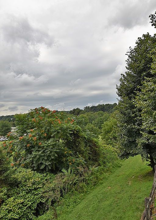 view from top deck