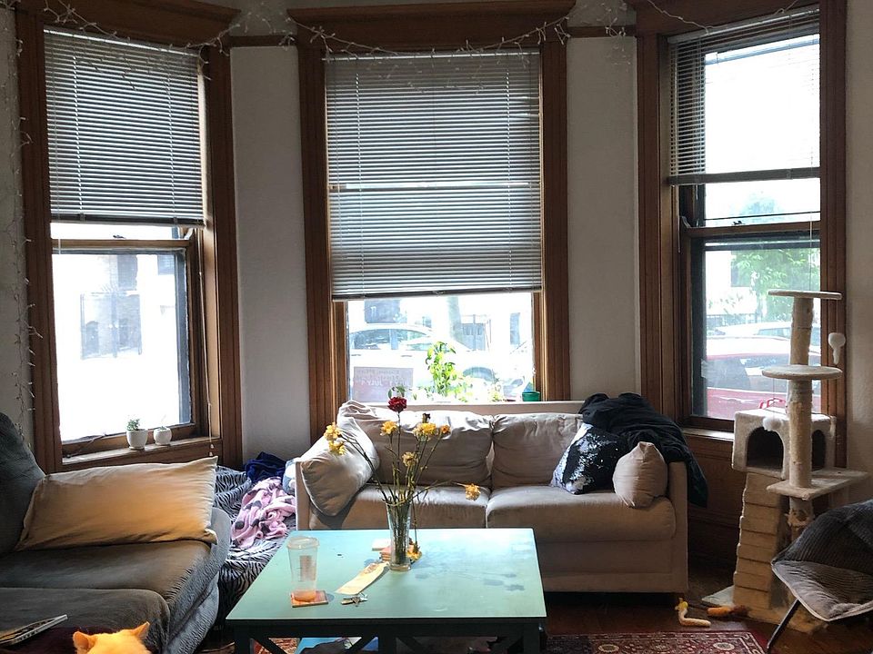 Front windows in living room (with kitty)