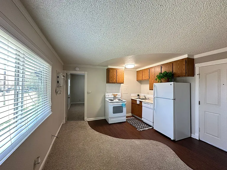 Boutique Apartments in Boulevard Park, Includes Gated, Covered Parking! — Photo 13