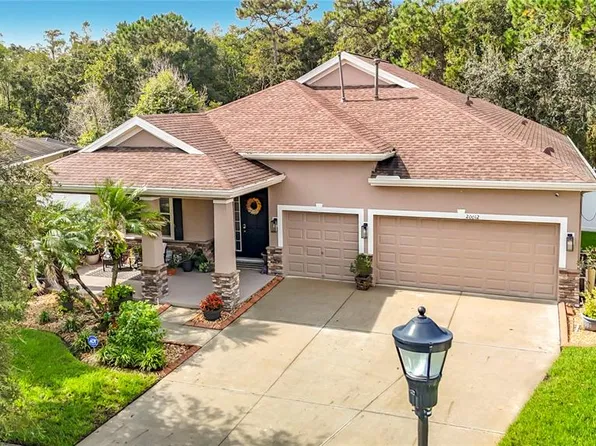 20012 BRIGHT OAK COURT, TAMPA, FL 33647
