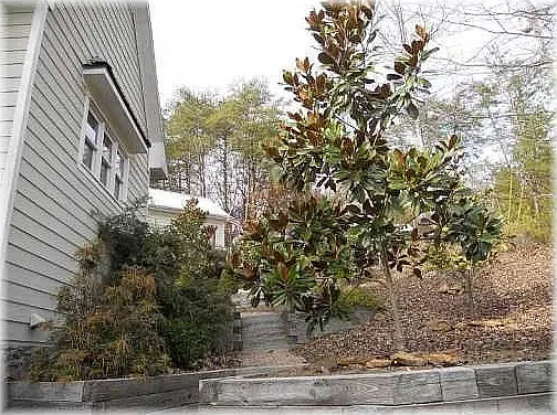 156 Corner Oak Ct — Photo 47