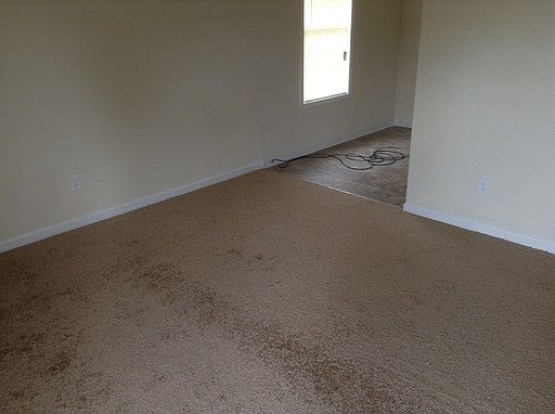 4th image of 3336 Burgess Dr
