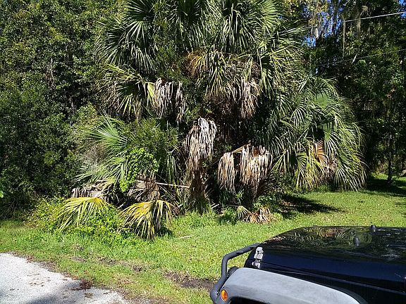 2nd image of 202 Bellray Dr