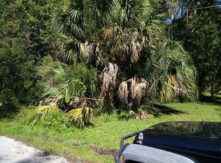 110 Bellray Dr, Satsuma, FL 32189