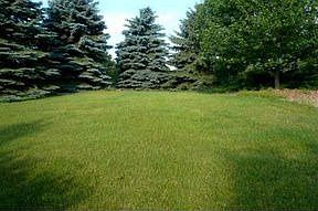1st image of 11687 Clearview Dr