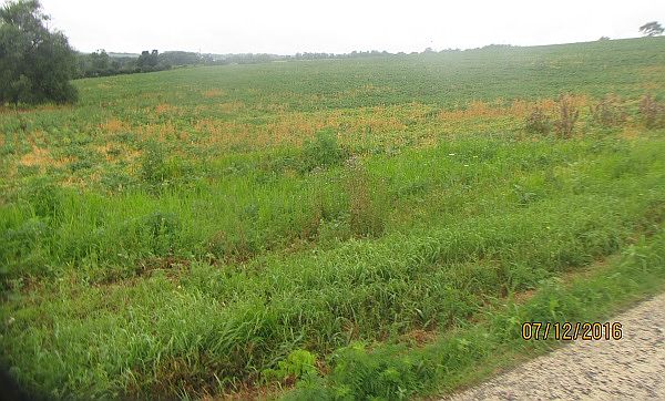 1st image of Belgium Ridge Rd