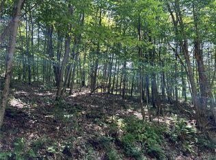 Old Gladstone Hollow Rd, Andes, NY 13731