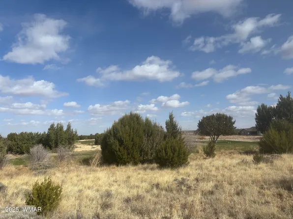 1956 Creekside Cir, Show Low, AZ 85901