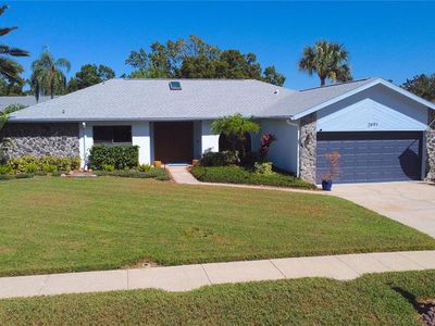 2991 Tangerine Ter, Palm Harbor, FL, 34684