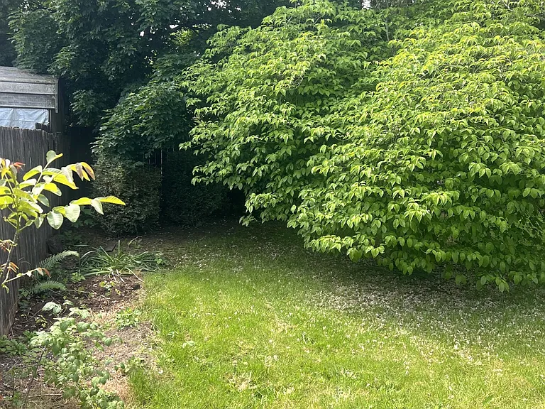 516 NW Forest St — Photo 32