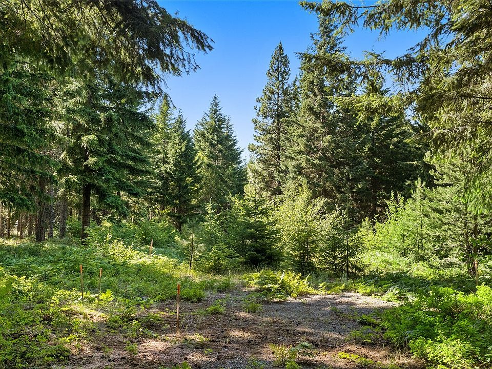 1st image of 131 Goat Creek Lane