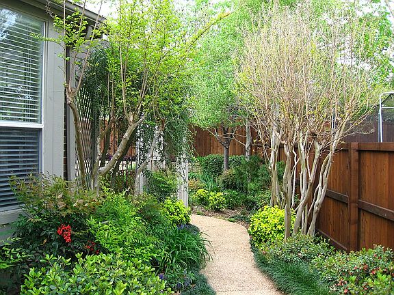 Back Yard 1