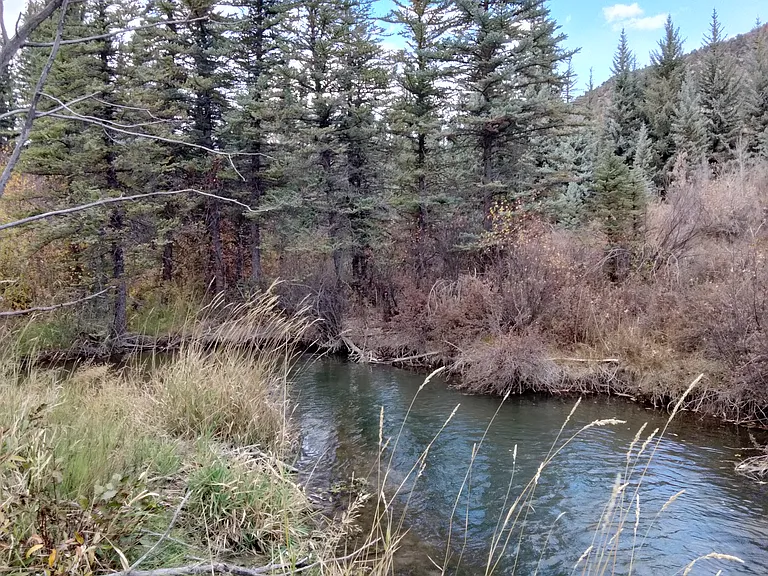 1532 Snowmass Creek Rd — Photo 9