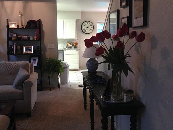 livingroom/dinning room complex