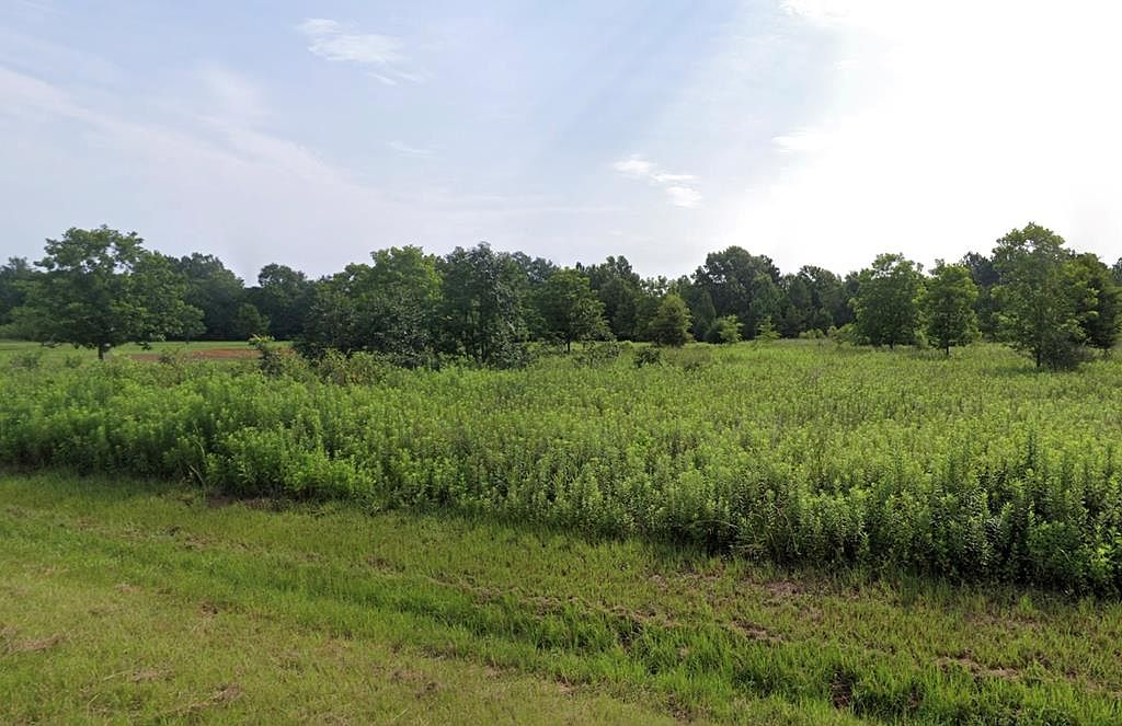 LOT 8 Brady Rd, Leslie, GA 31764 | Zillow