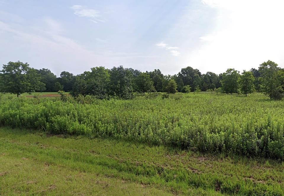 LOT 8 Brady Rd, Leslie, GA 31764 Zillow