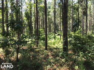 Sand Springs Rd, Fayette, AL 35555