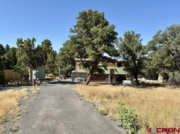 24888 Timothy Road, Cedaredge, CO 81413