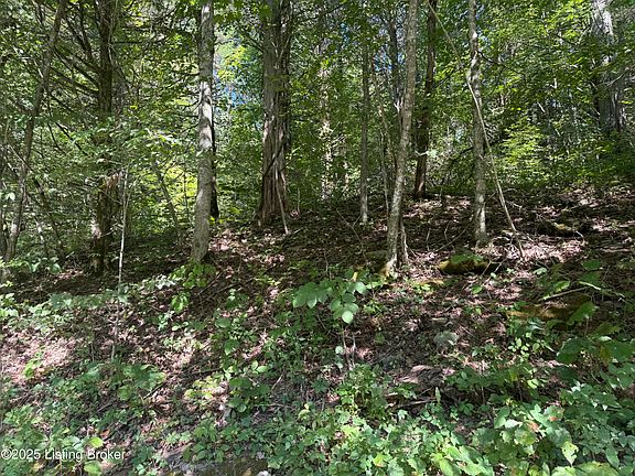 5th image of 1590 Crooked Creek Rd