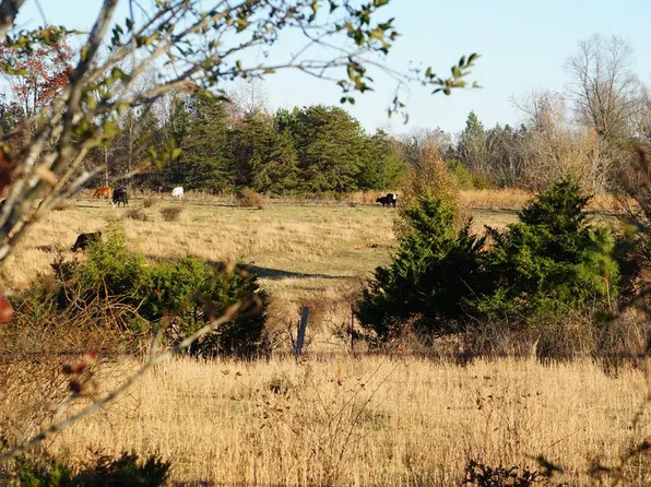 Fearstown Rd, Randolph, VA 23962