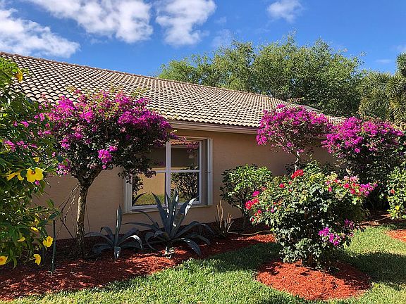 Beauty of the Side Yard