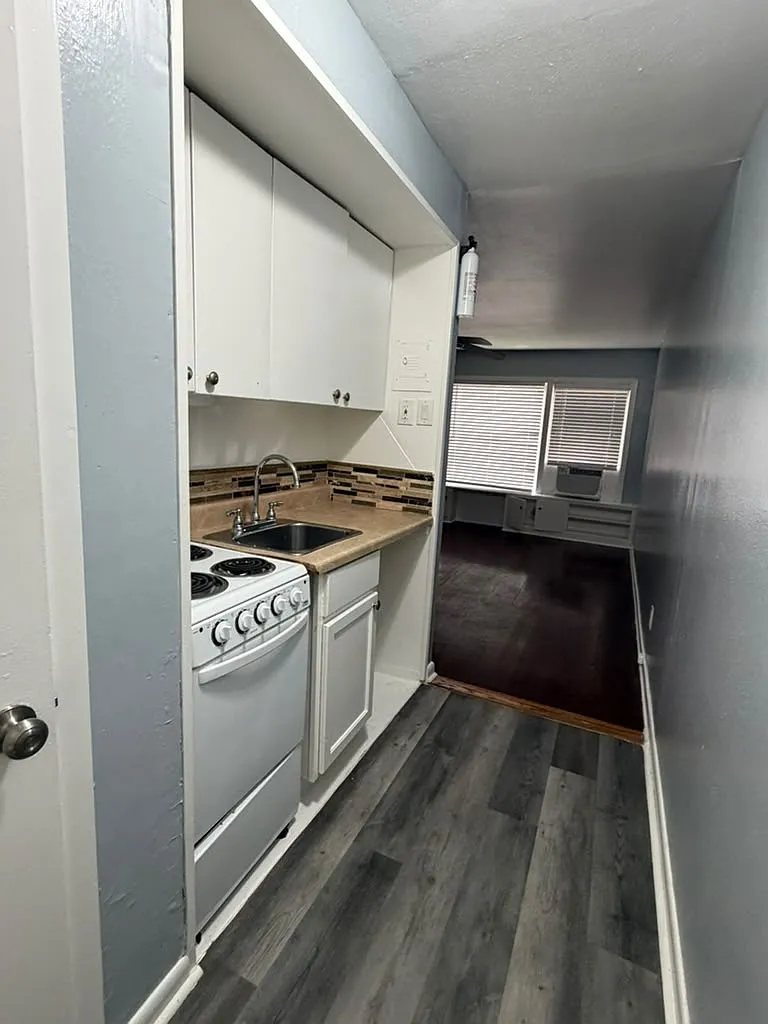 Studio, 321 sqft, $950 — Photo 2