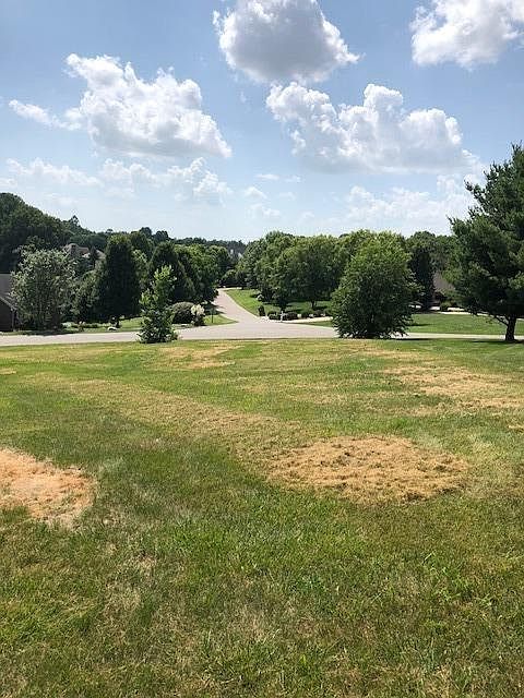 2nd image of 104 Old Bridge Rd