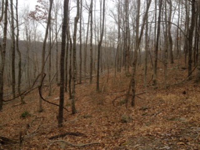 2nd image of 8425 Macedonia Rd