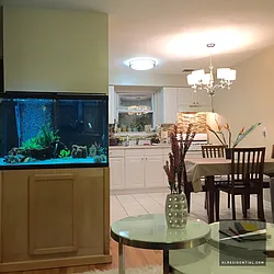 Rented by Highline Residential