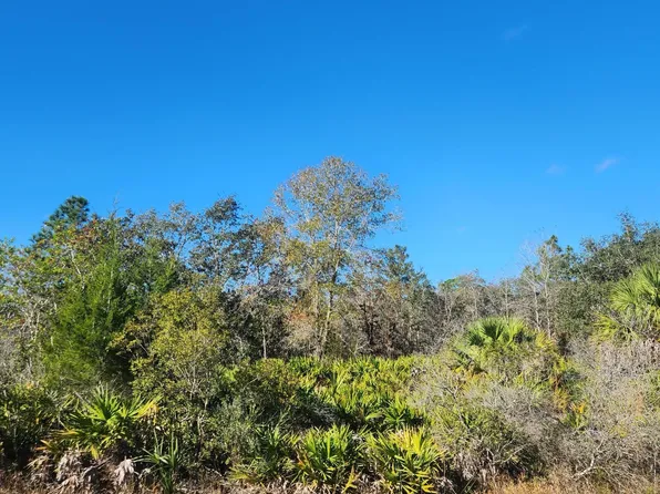 0 Quiet Rd, Brooksville, FL 34614