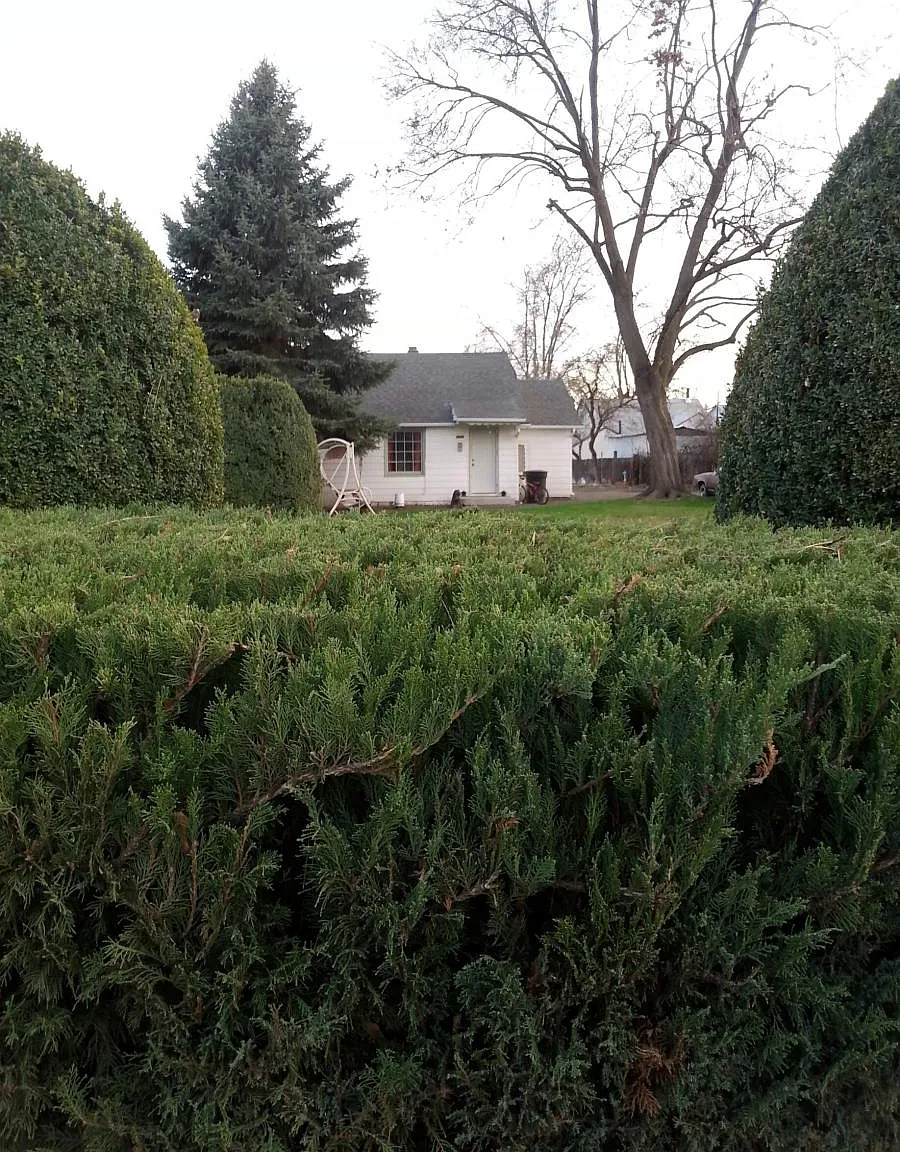 2 bed, 871 sqft, $1,500 — Photo 1