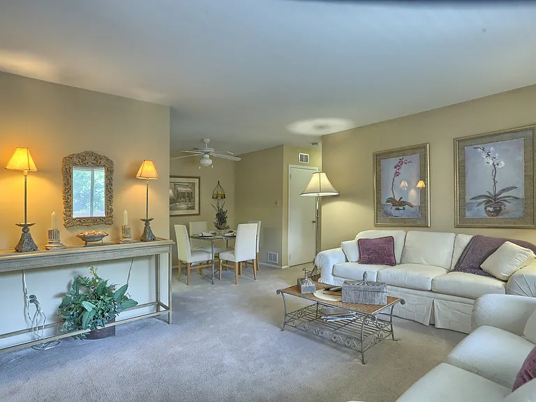 Treeview Apartments — Photo 11