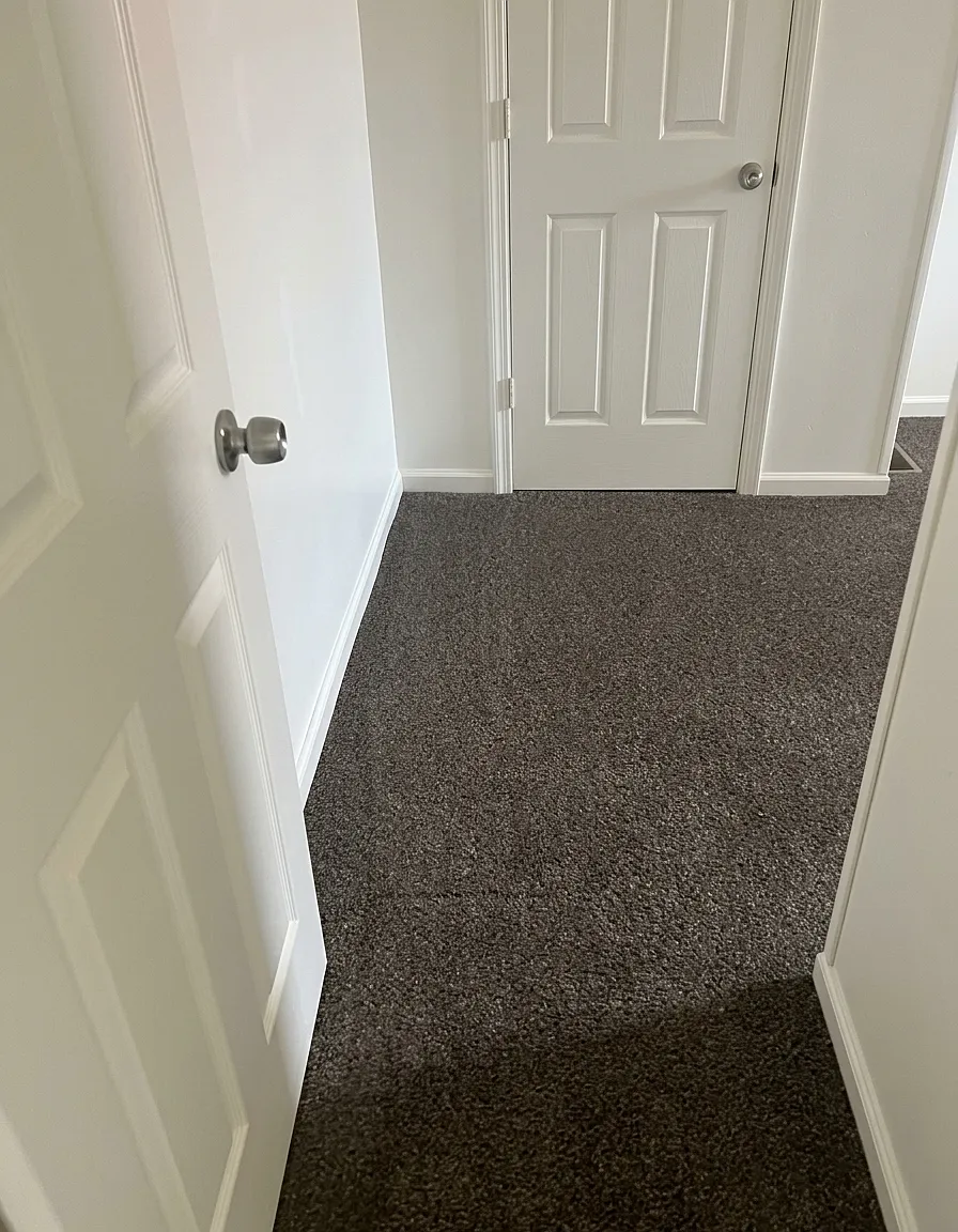 4 bed, 1.5 bath, 2444 sqft, $4,000 — Photo 4