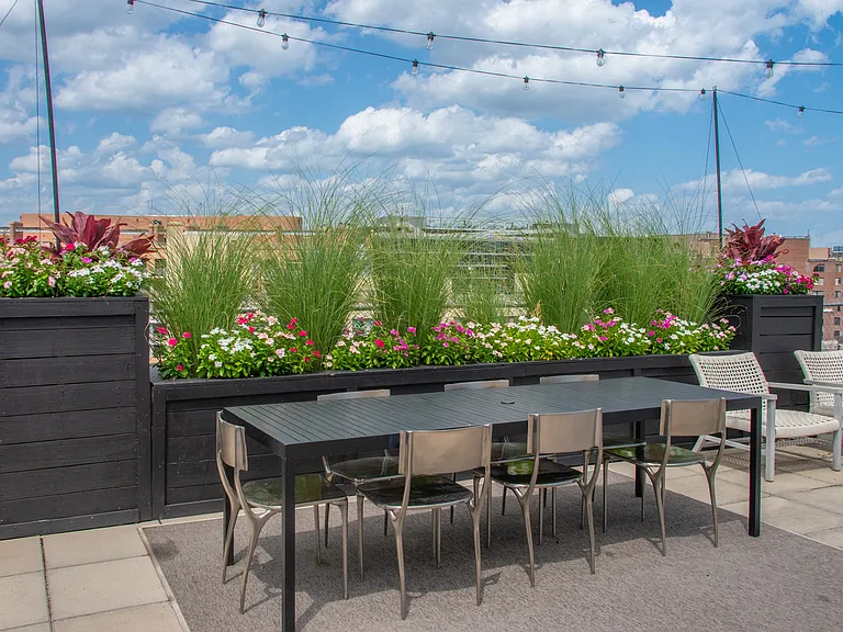 Rooftop Deck Container Plant Boxes Adds A Cozy Vibe