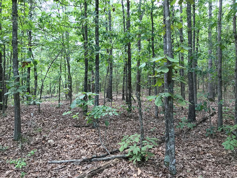 2nd image of Osage Hill Lake Rd