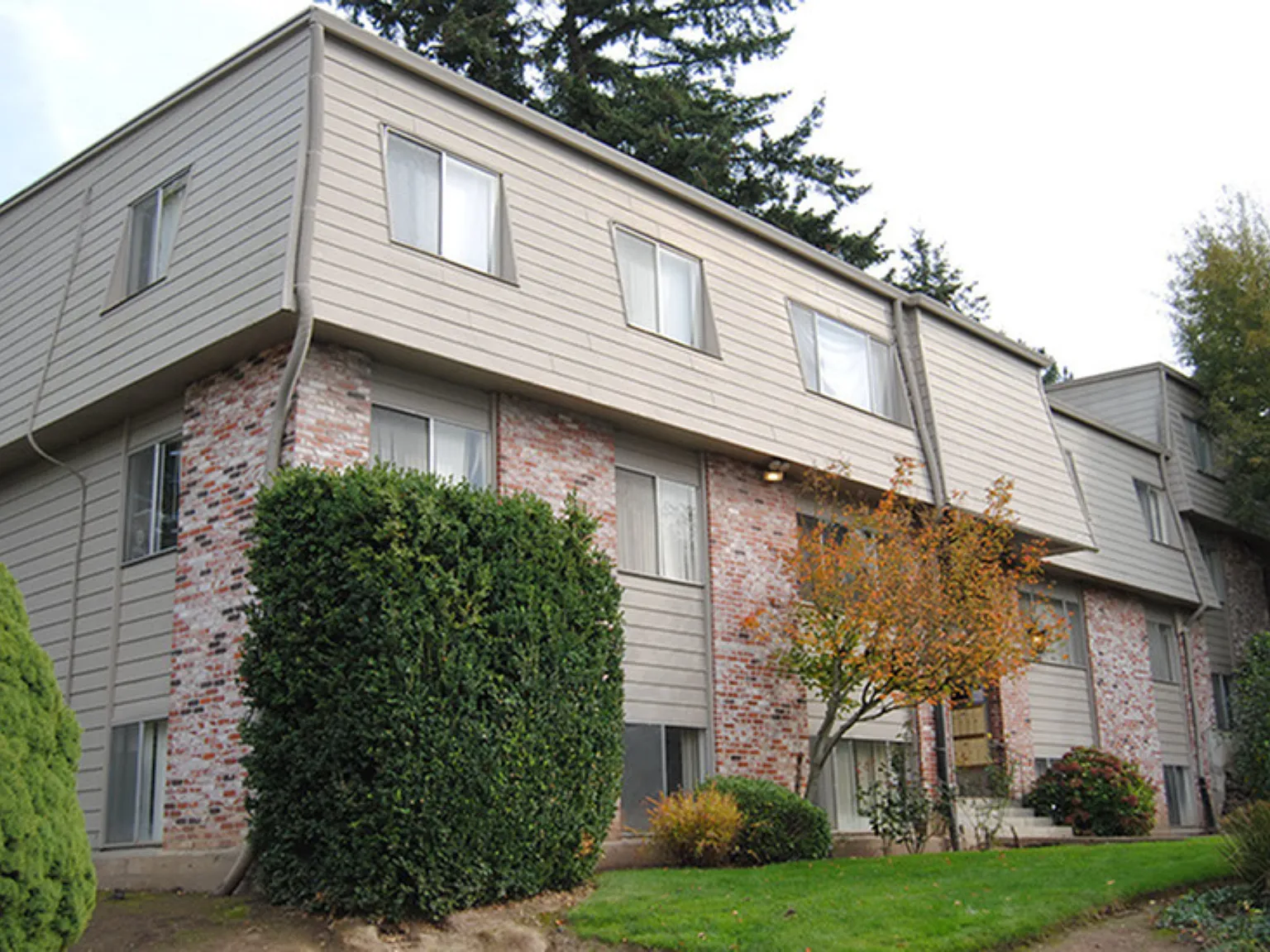 Fir Terrace — Photo 2