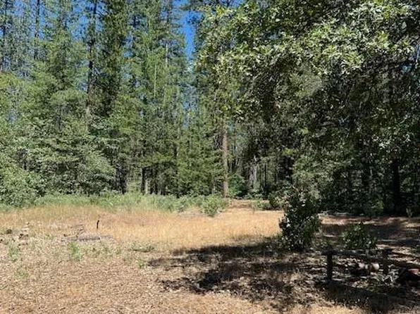 4420 Highway 4, Avery, CA 95224