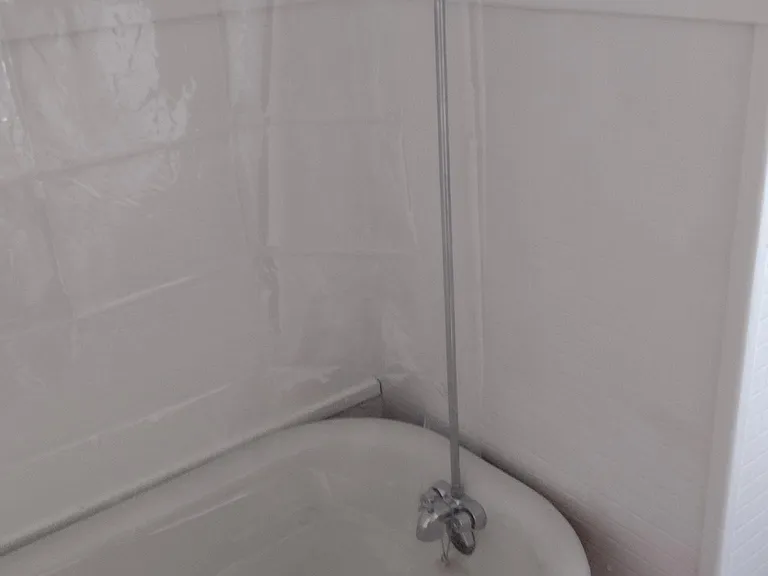 Clawfoot tub with shower