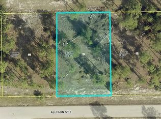 525 Allison St E, Lehigh Acres, FL 33974