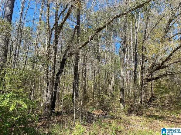 Cedrum Rd #0, Jasper, AL 35504
