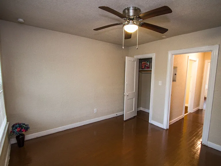 932 Poinsettia — Photo 11