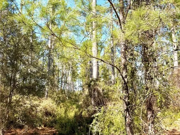 0 Marsh Way, Townsend, GA 31331
