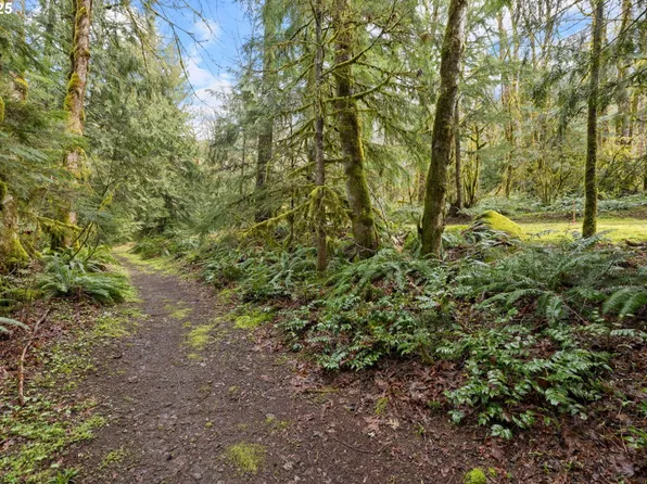 27355 E Salmon River Rd, Welches, OR 97067