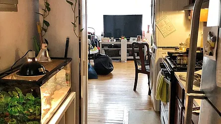 Rented by Nooklyn NYC LLC