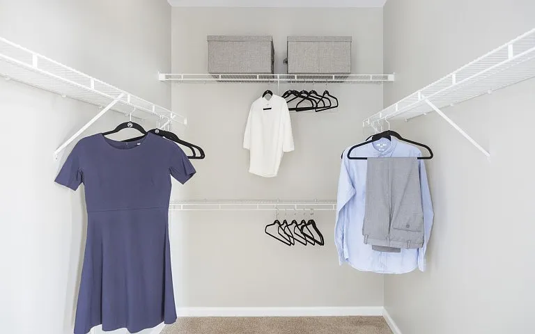 Sophisticated walk-in closet