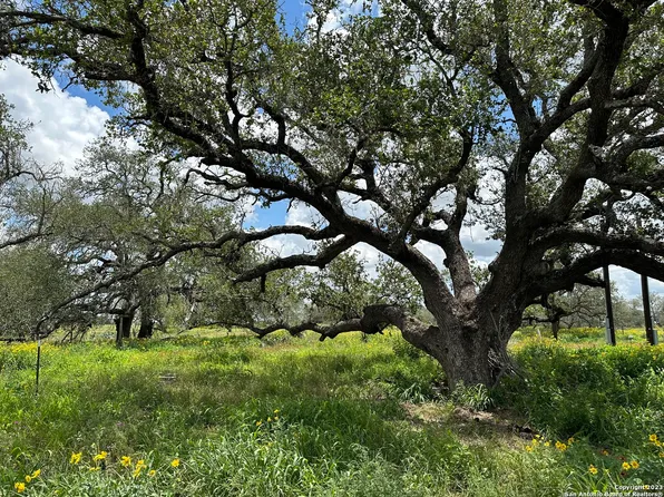 4168 Whitley, Bigfoot, TX 78065