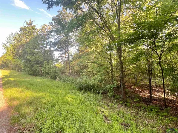 0 County Road 1755, Mount Pleasant, TX 75455