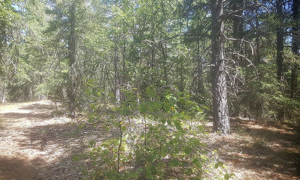 1st image of 648 Forest Glen Dr